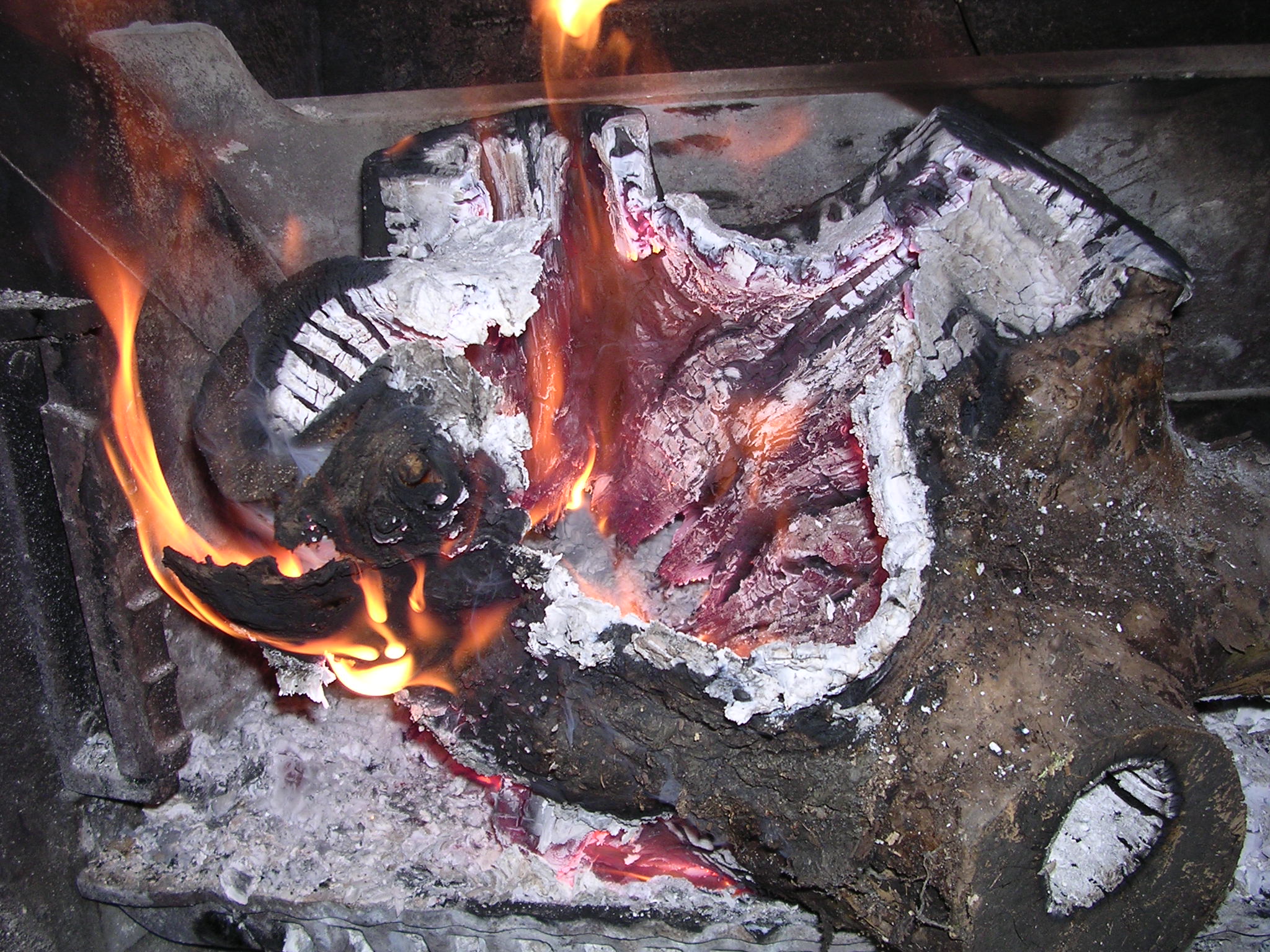 Ηφαιστος Dieu civilisateur, qui enseigne aux hommes les arts du feu et du métal, et est même capable de donner vie aux êtres qu|il modèle, à l|image des deux servantes mécaniques qui l|aident dans son travail (Iliade). 39.